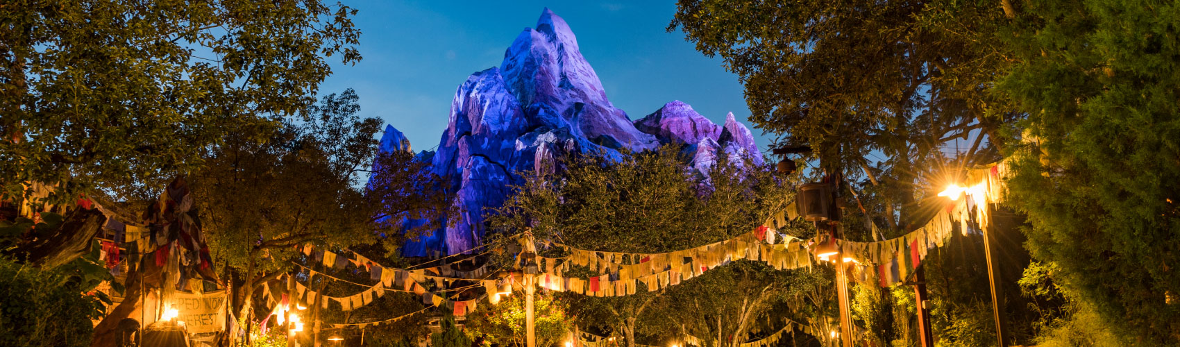 Disney's Animal Kingdom Theme Park